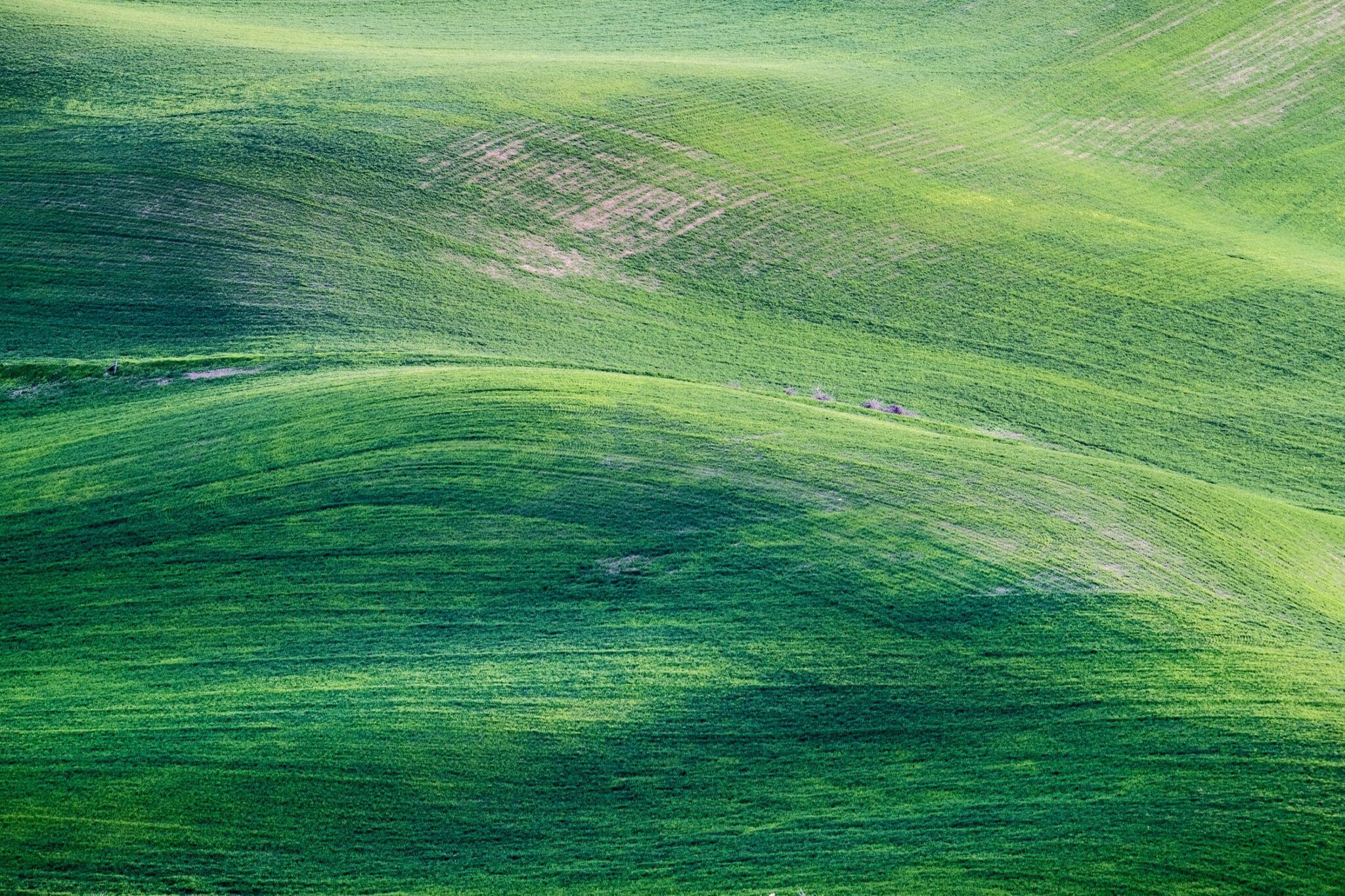 groen landschap